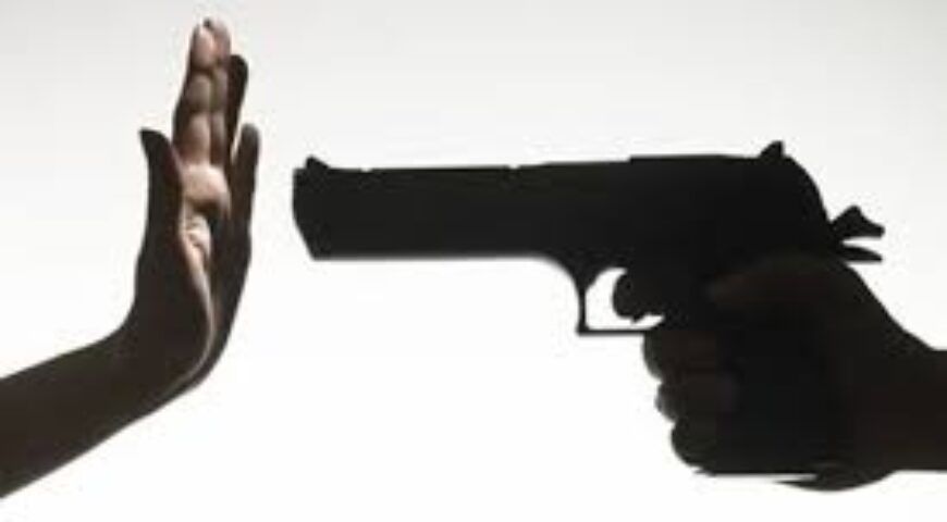 Como Combater a Violência? – 2010